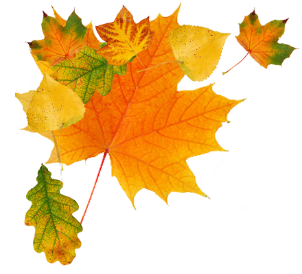 Autumn Png Transparent Image  5859