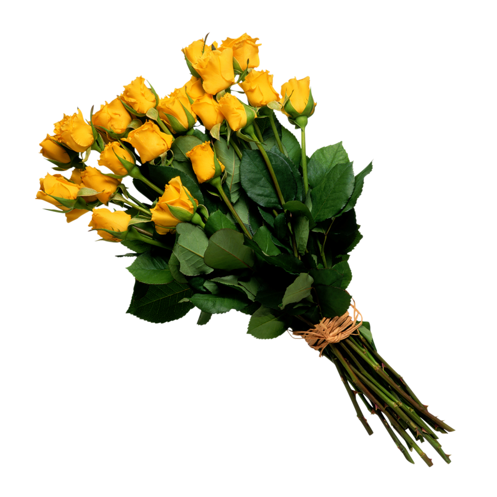 Bouquet Yellow Clipart Transparent 23451 Bouquet Yellow Clipart Transparent 23451