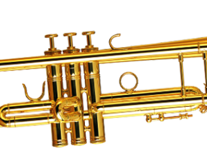 Find High Quality Png Transparent Images Backgrounds 679 Find High Quality Png Transparent Images Backgrounds 679