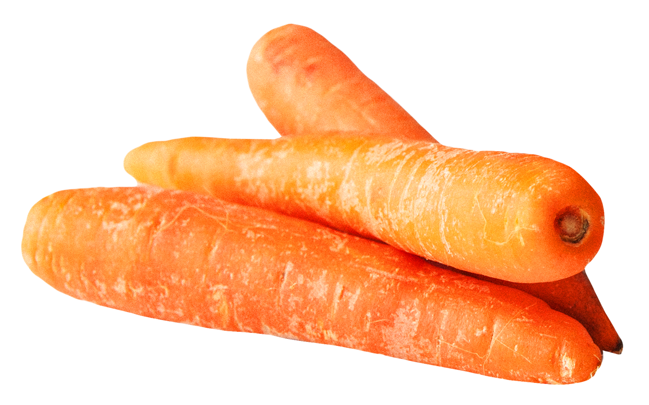 Triple Carrot Images Picture 25863 Triple Carrot Images Picture 25863