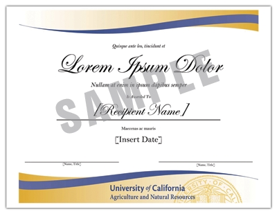 word certificate samples doc pictures 4941 transparentpng