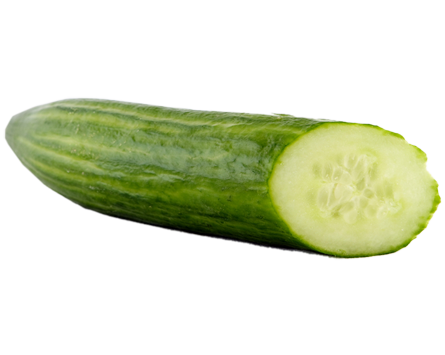 Cucumber Hd Image 25885 Cucumber Hd Image 25885