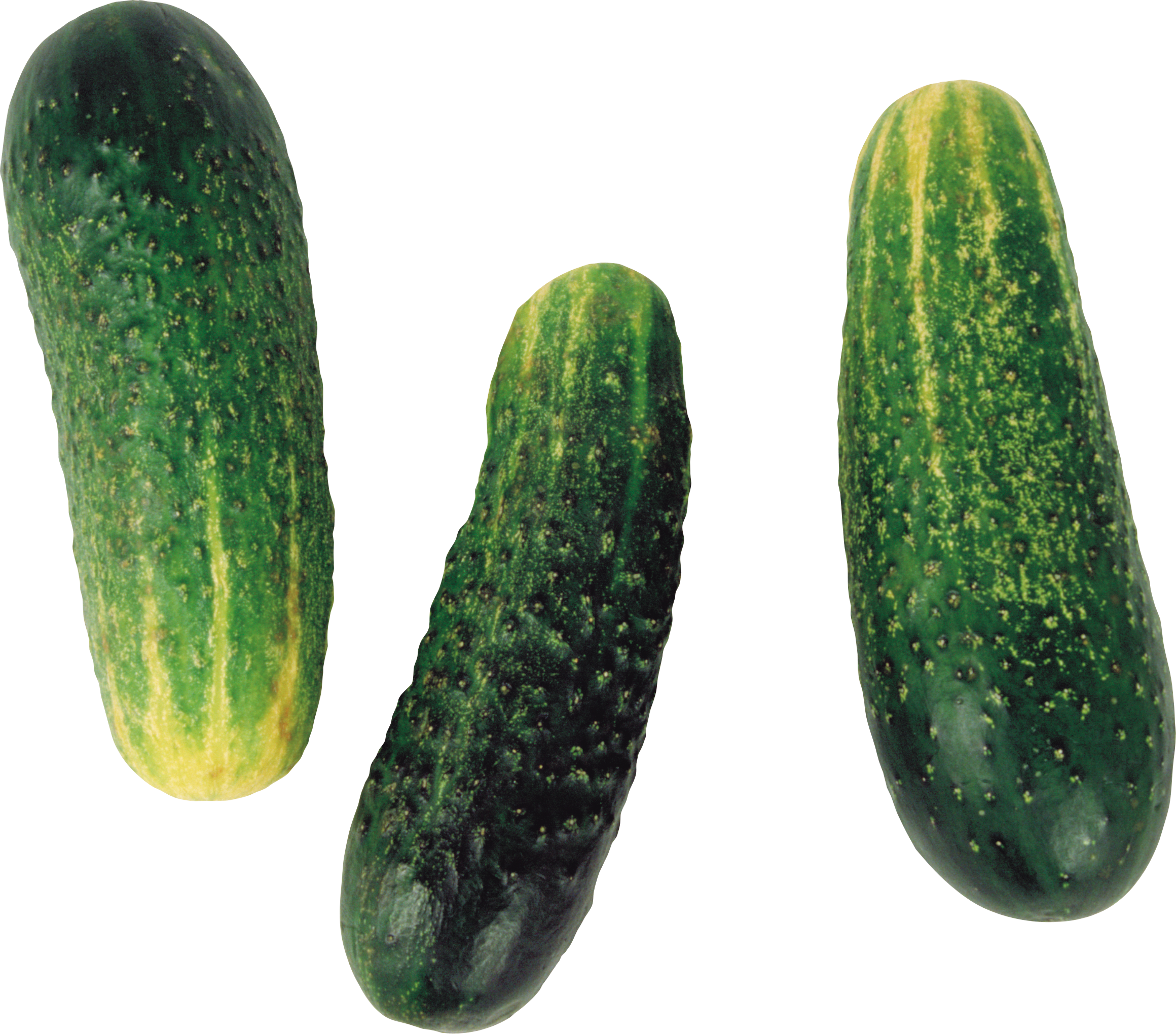 Cucumber Simple Image 25894 Cucumber Simple Image 25894