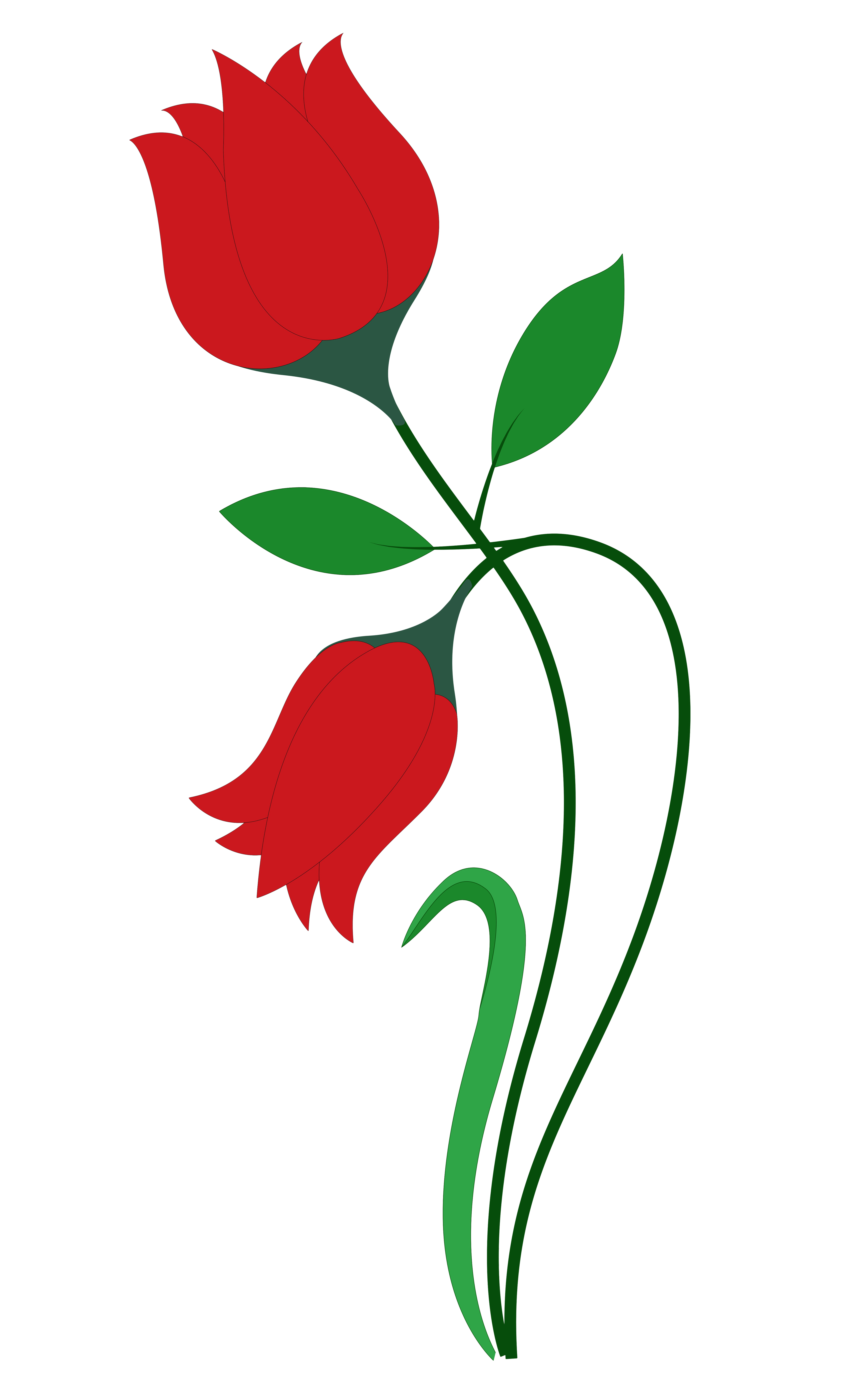 Red Rose Flower Vector Png Transparent Image 4753 Red Rose Flower Vector Png Transparent Image 4753