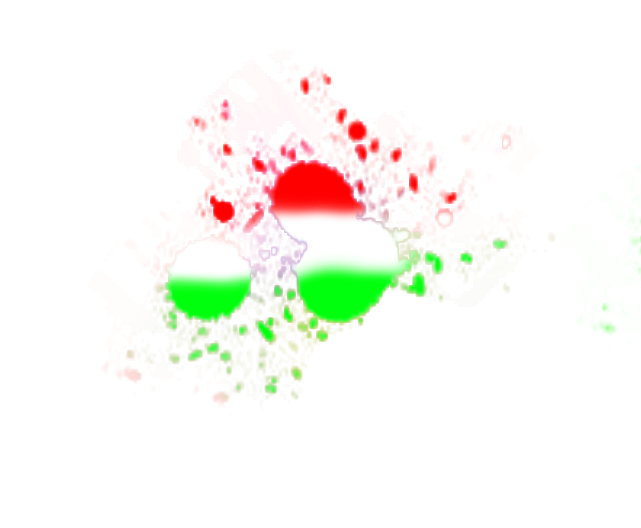 Red And Green Holi Png Transparent Images 2239 Red And Green Holi Png Transparent Images 2239