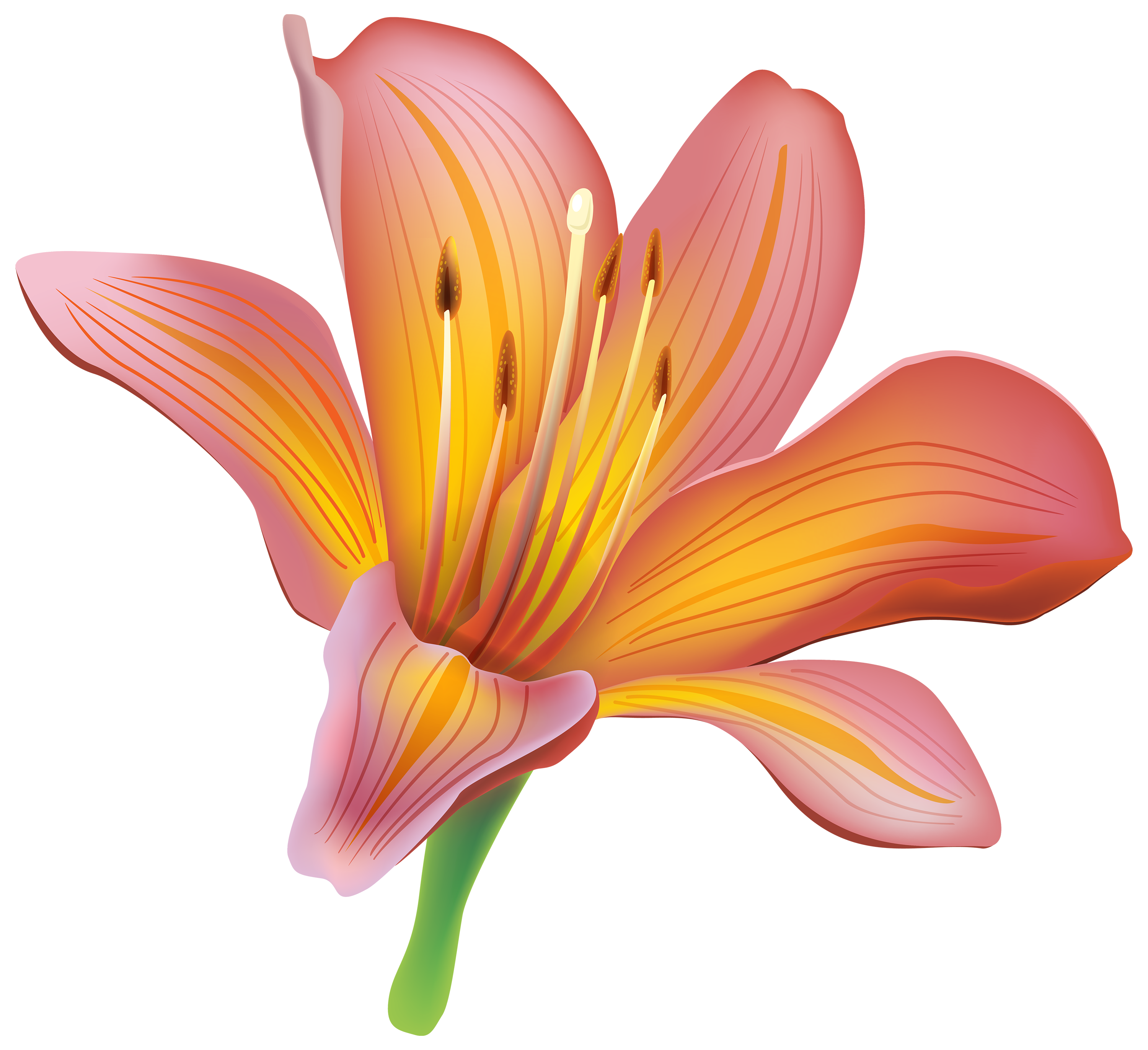 Vintage Lily Free Download Transparent 18545 Vintage Lily Free Download Transparent 18545