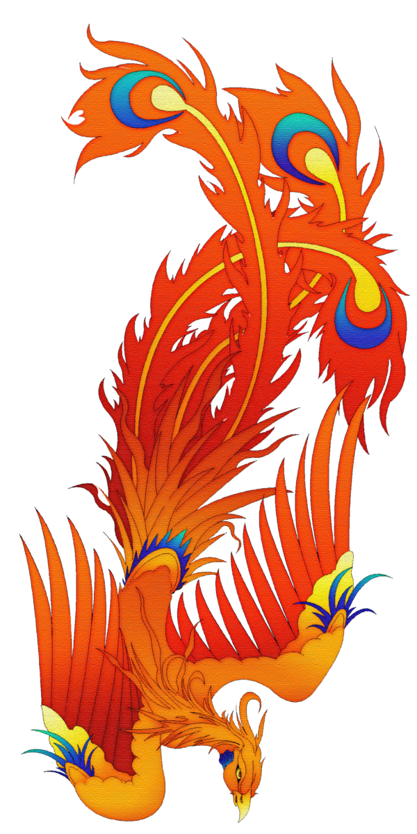 Rsultats de recherche dimages pour image de phoenix tattoo