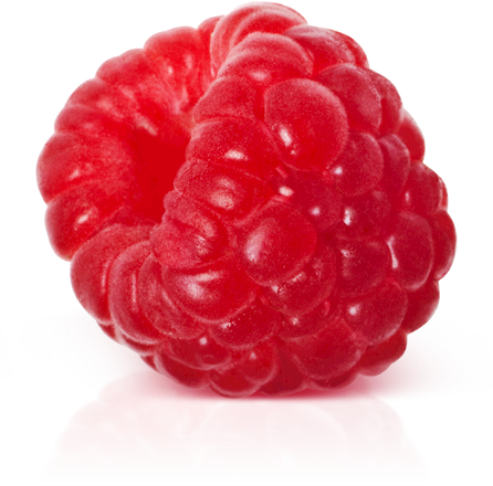 Raspberry Transparent Background 12 25913 Raspberry Transparent Background 12 25913