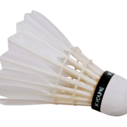 Simple Shuttlecock Png Transparent Images 2676 Simple Shuttlecock Png Transparent Images 2676
