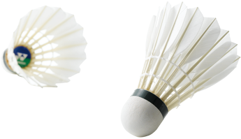 Transparent Shuttlecock Png 2701 Transparent Shuttlecock Png 2701