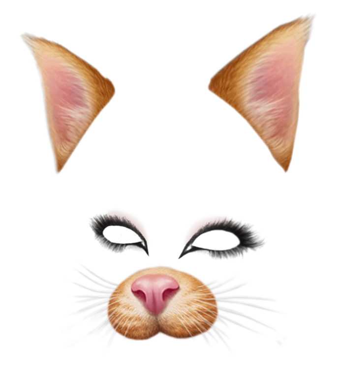 Phone App Cat Ears Phone App Cat Ears