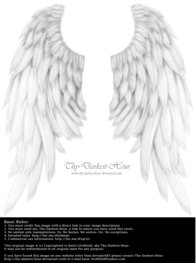 Download Angel Tattoos PNG PNG Images
