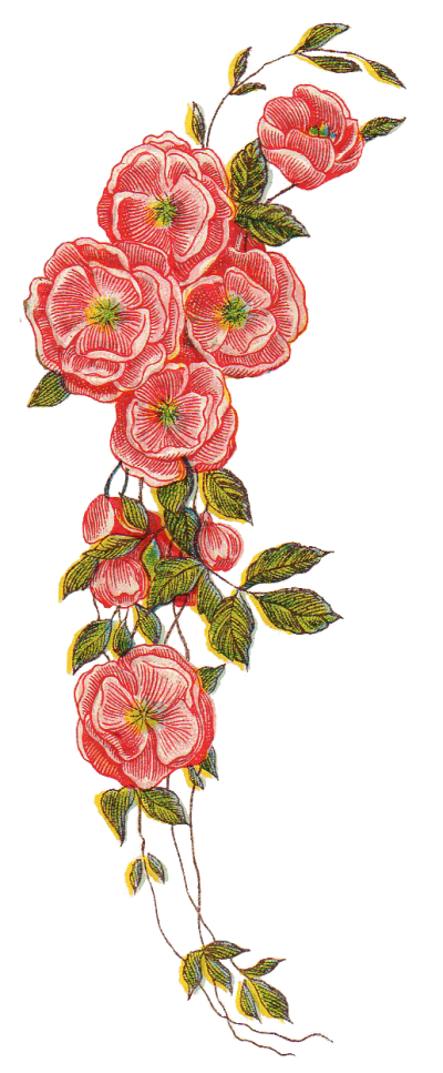 Vintage Floral Png PNG Images