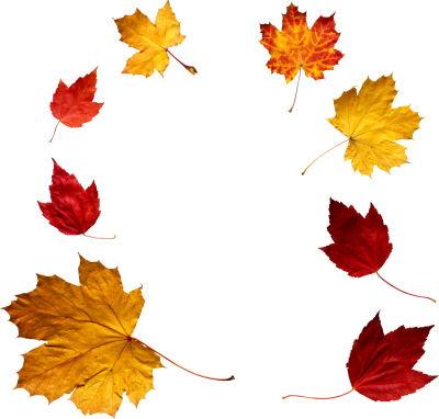 Autumn Leaves Frame Download PNG Images