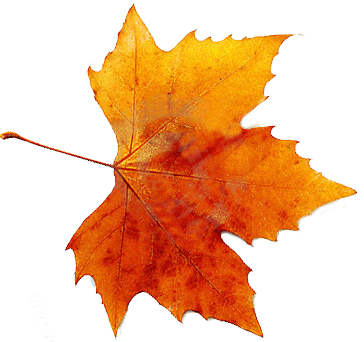 Autumn, Spring, Winter, Seasons, Leaf, Transparent Images PNG Images
