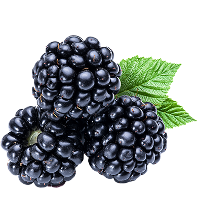 Purple Blackberry Fruit Png Free Download, Raspberry, Black Mulberry PNG Images