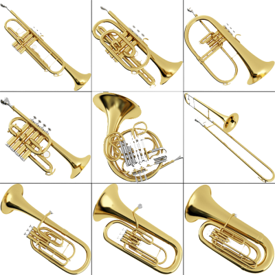 Brass Instruments .pixsharkm Images Galleries PNG Images