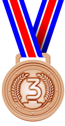Ni, Si, And Self Delusion Bronze Medal Png PNG Images