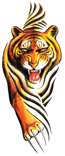 Tribal Tiger Tattoos Designs Png PNG Images