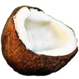 Coconut HD Photo Png PNG Images