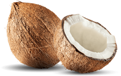 Coconut Photos PNG Images