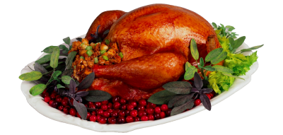 Thanksgiving Turkey Cartoon, Thanksgiving Turkey, Dinner Turkey Food Png PNG Images