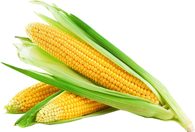 Corn Icon Clipart PNG Images