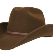 Cowboy Hat Transparent Image PNG Images