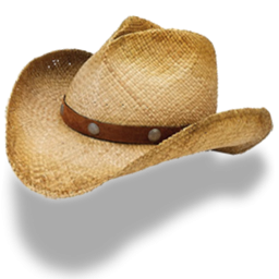 Cowboy Hat Transparent Picture PNG Images