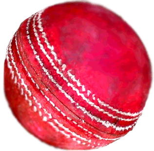 Cricket Ball Free Download PNG Images