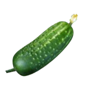 Field Cucumber Transparent Picture PNG Images