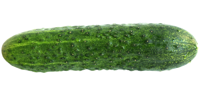 Cucumber Made ın Turkey Photo PNG Images
