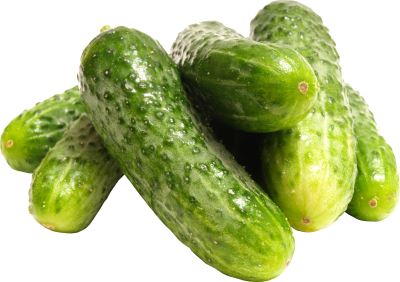 Pickling Cucumber HD Photo PNG Images