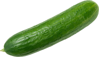 Usa Cucumber Photo PNG Images