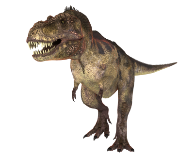 Dinosaur Picture PNG Images