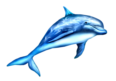 Dolphin That Shines Light On It Free Png PNG Images
