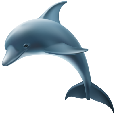 Great Realistic Blue Dolphin Illustration Hd Transparent PNG Images