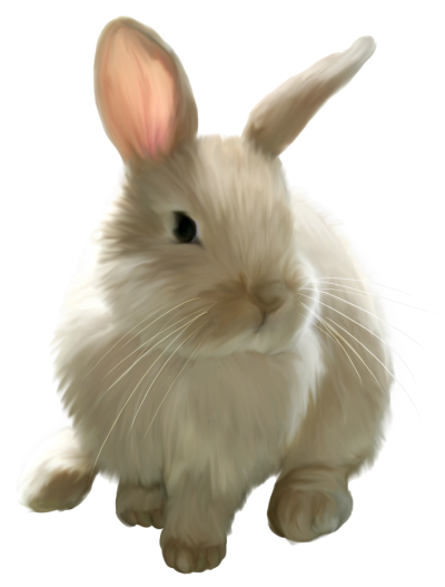 Easter Bunny Best PNG Images