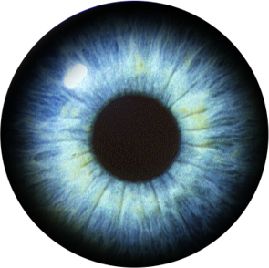 Eye Best Png PNG Images
