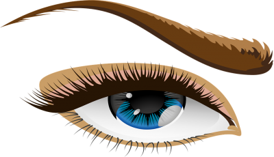 Download Eye And Brow PNG PNG Images