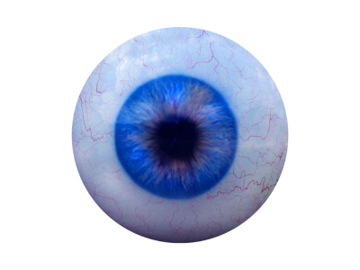 Eye Ball, Ralistic Clipart Transparent PNG Images