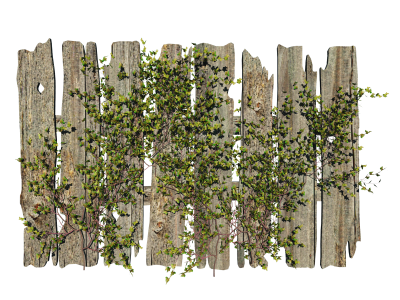 Flowers, Fence, Wood, Misc Plant Png Picture PNG Images