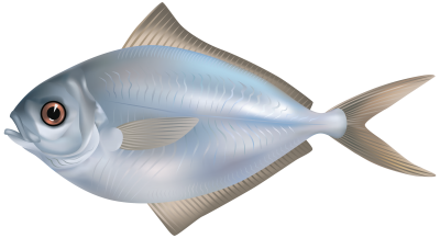 Fish Amazing Image Download 4 PNG Images
