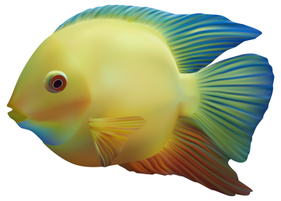 Fish Cut Out PNG Images