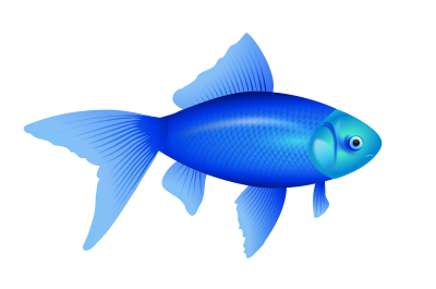 Fish Simple PNG Images