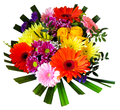 Download FLOWER Free PNG transparent image and clipart