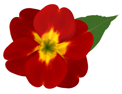 Flower Png Image PNG Images