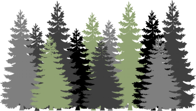 Forest Free Cut Out PNG Images