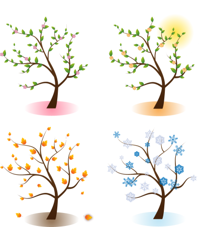 Four Season Trees Png PNG Images