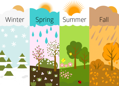 Rain, Snow, Tree, Leaf, Pine, Tree, Sunny, Images PNG Images